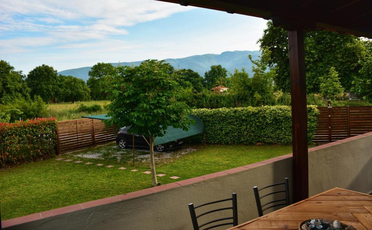 Relax House S Villa Leptokarya  Dış mekan fotoğraf
